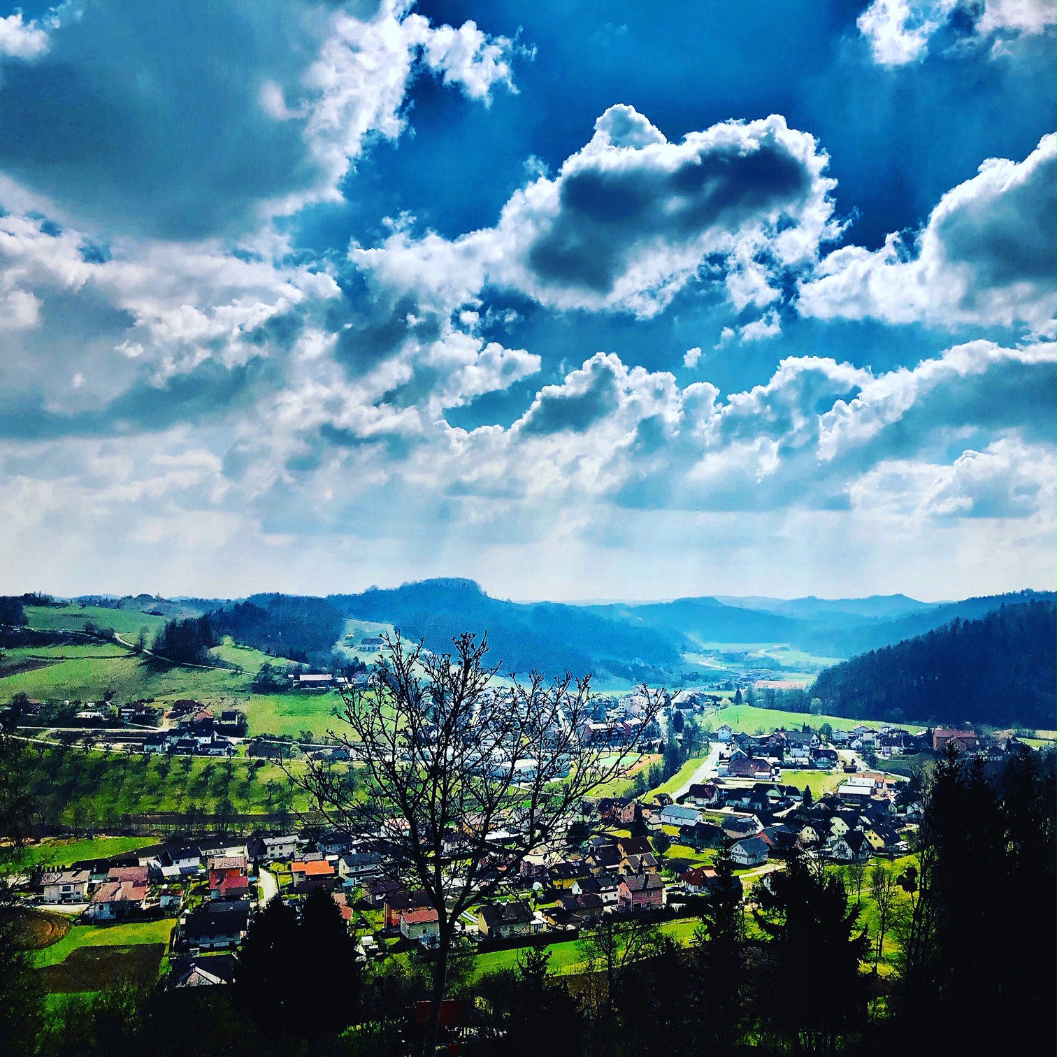 zg kungota velika 3.JPG